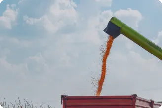 Сельское хозяйство